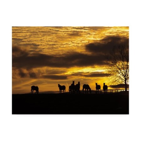 Aledanda 'Horses At Sunset' Canvas Art,24x32